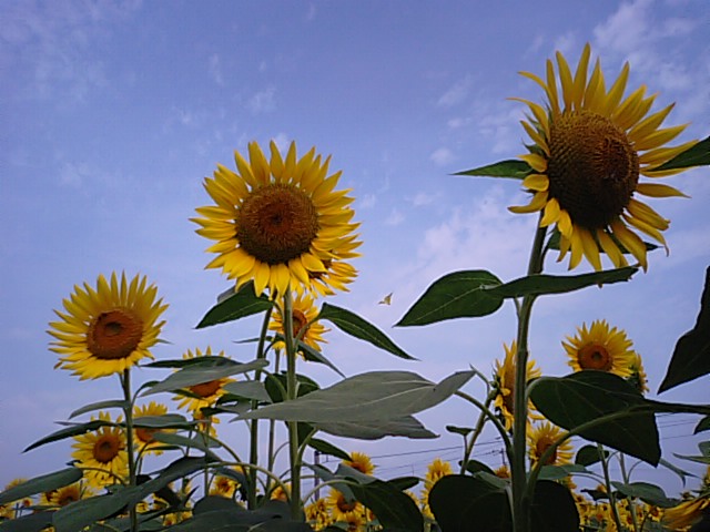 f0231709_10513067.jpg