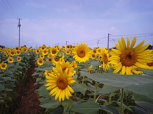 f0231709_1051924.jpg
