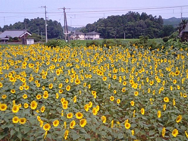 f0231709_10564425.jpg
