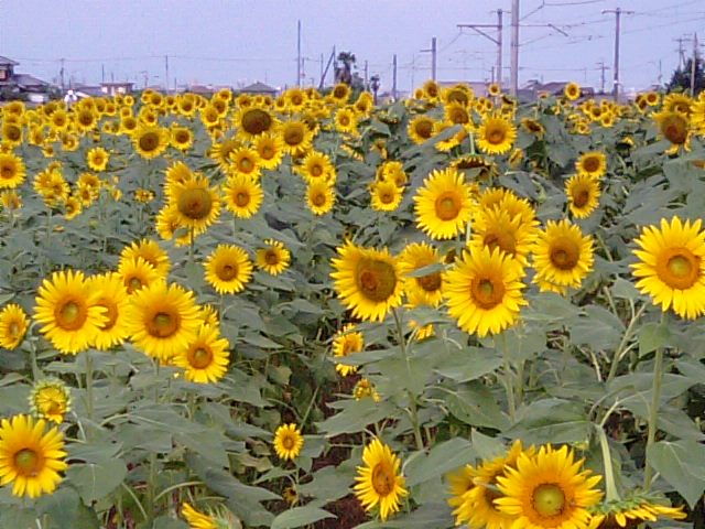 f0231709_1057543.jpg