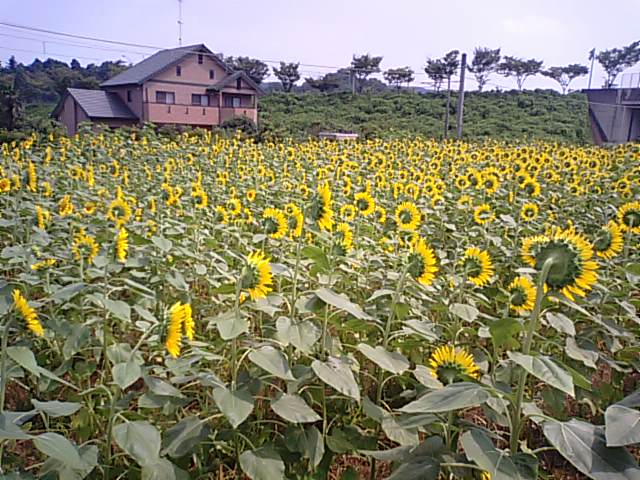 f0231709_10592488.jpg