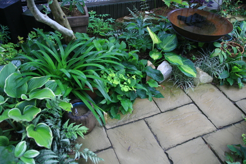 e0102713_7105899.jpg