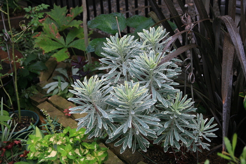 e0102713_7121736.jpg