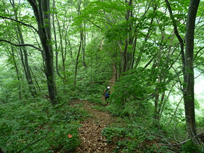 f0225414_0552178.jpg