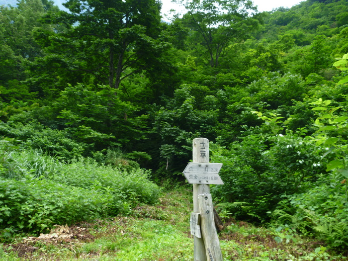 f0225414_10828.jpg