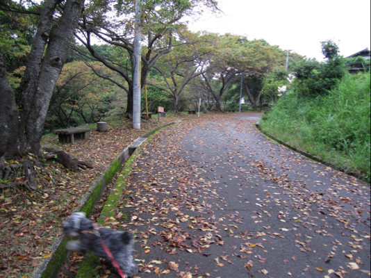 c0219815_1913795.jpg
