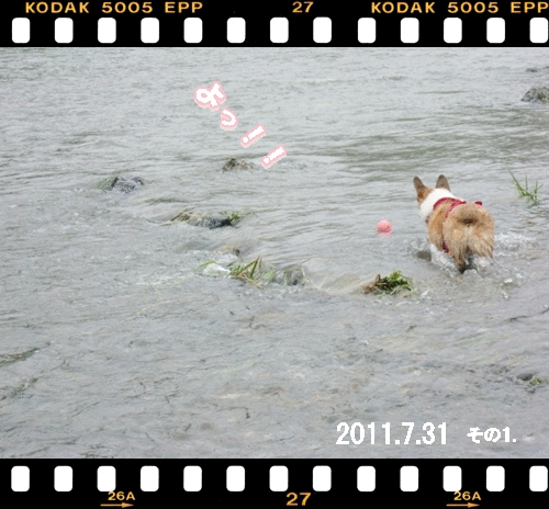 f0182121_21434191.gif