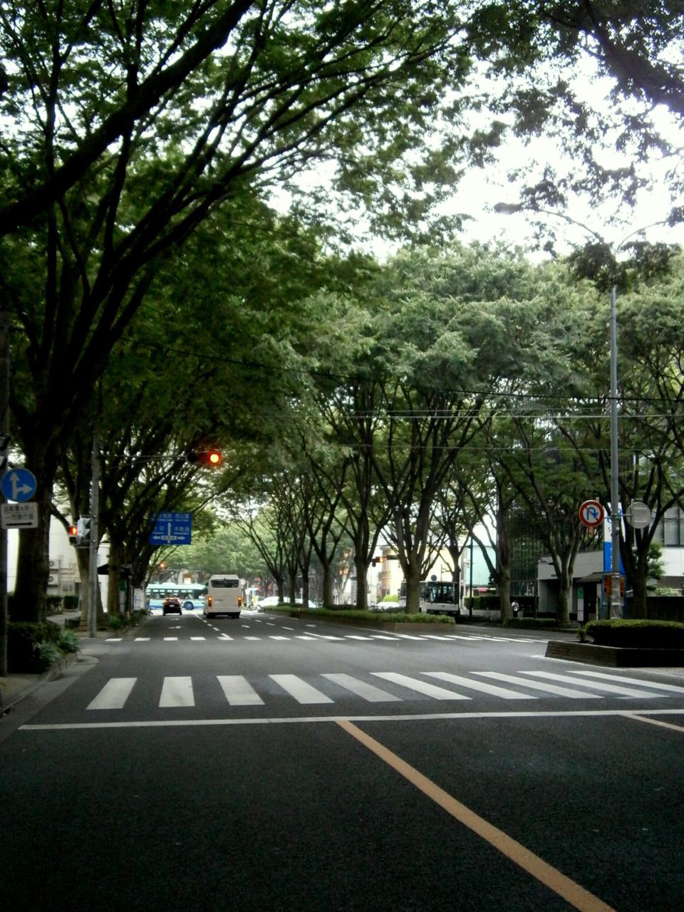 e0145328_22513561.jpg