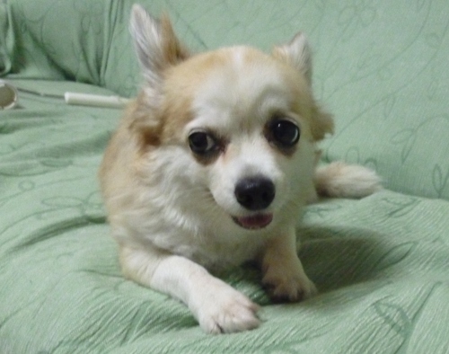 b0138430_14424972.jpg