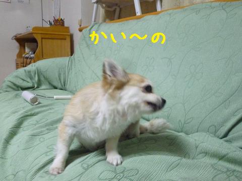 b0138430_14435728.jpg