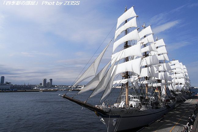 a0195032_22343384.jpg