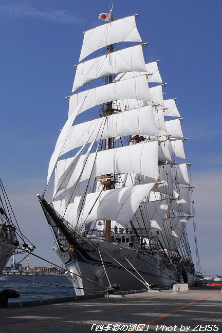a0195032_22362746.jpg