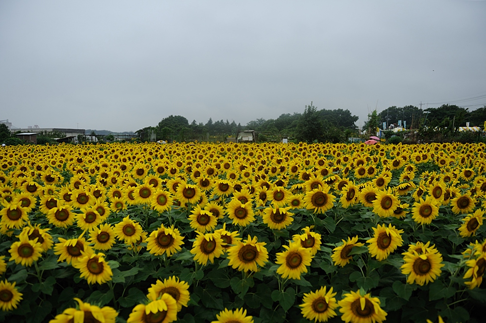 c0221838_22402259.jpg