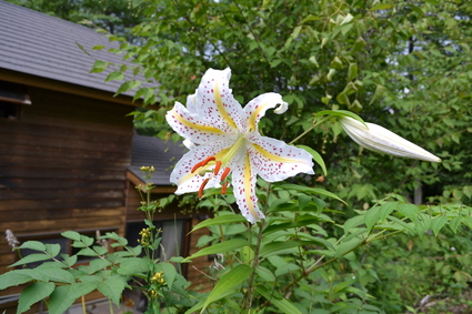 e0228938_19524461.jpg