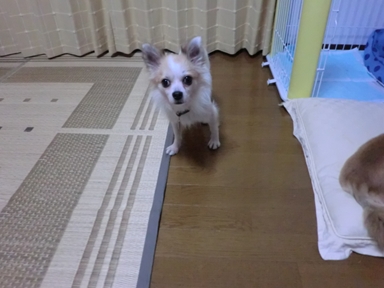 d0169340_2253542.jpg