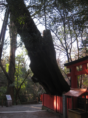 f0141840_23227100.jpg