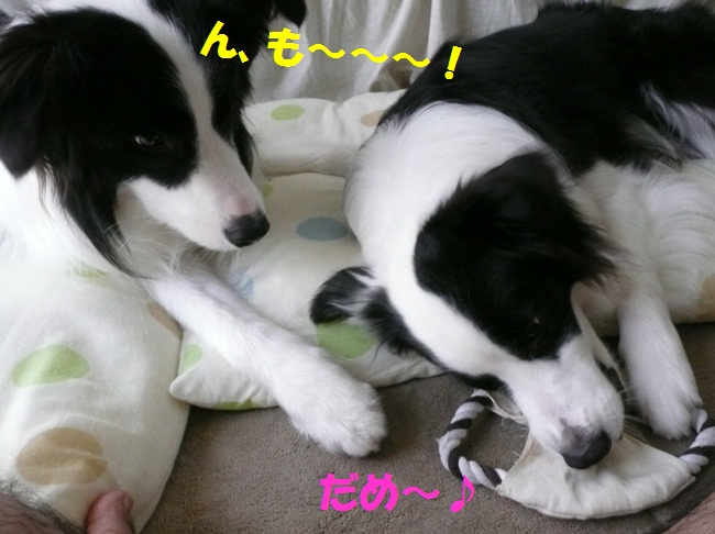 c0147241_23214785.jpg