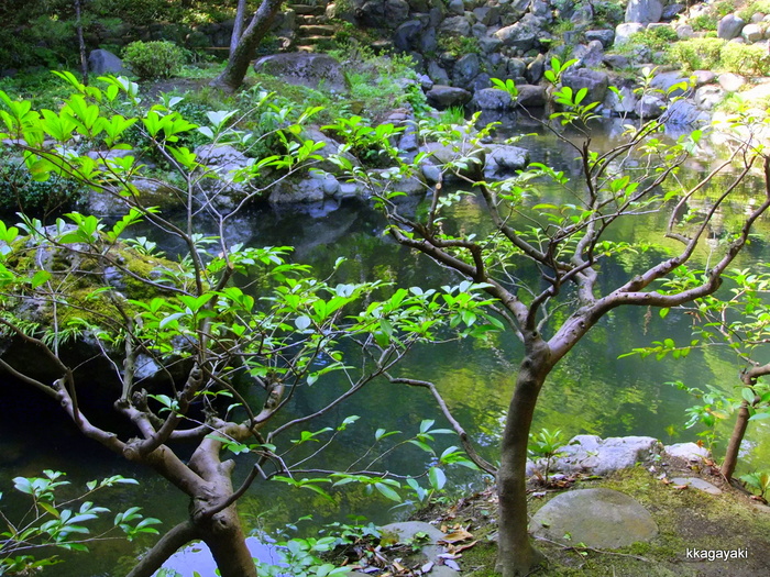 e0206242_813317.jpg