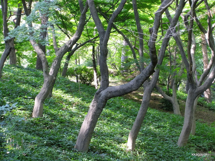 e0206242_851495.jpg