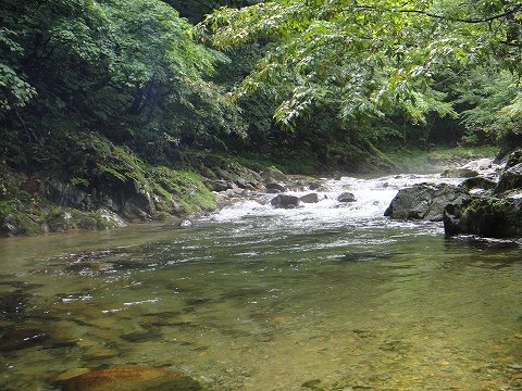 e0202845_2092419.jpg