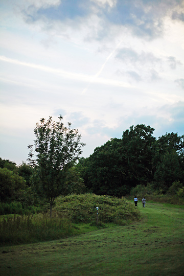 d0008146_18185196.jpg