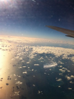 f0233356_9243352.jpg