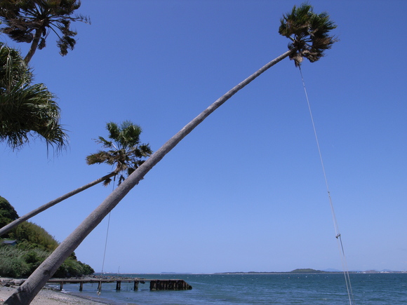 f0201157_939289.jpg