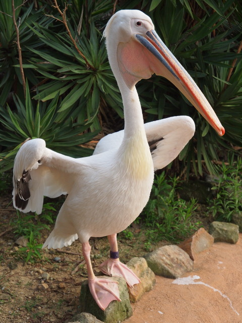 c0186760_2345667.jpg