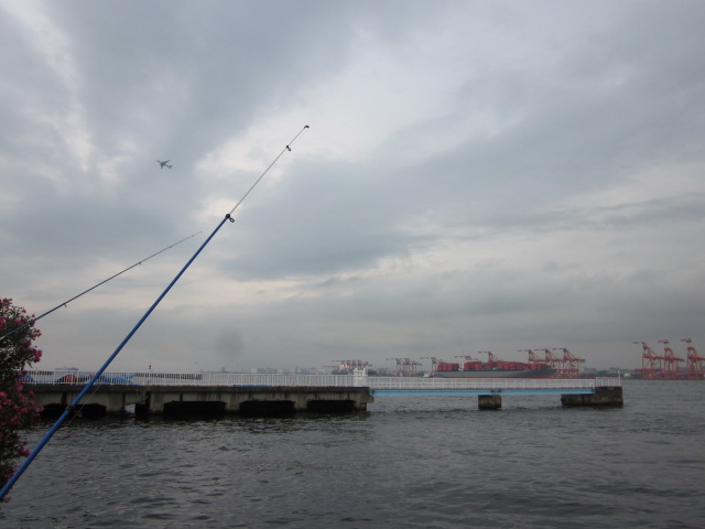 a0120264_13392888.jpg