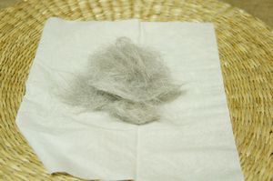 c0139765_9254233.jpg