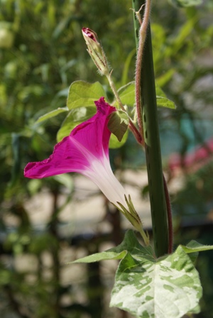 a0091666_22391447.jpg