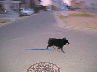 e0002466_9163482.jpg