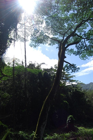 f0186368_1053276.jpg