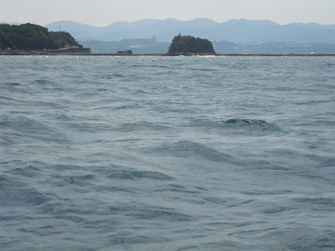 c0011169_89899.jpg