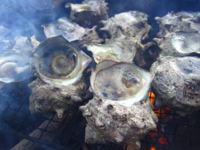 c0122670_0123239.jpg