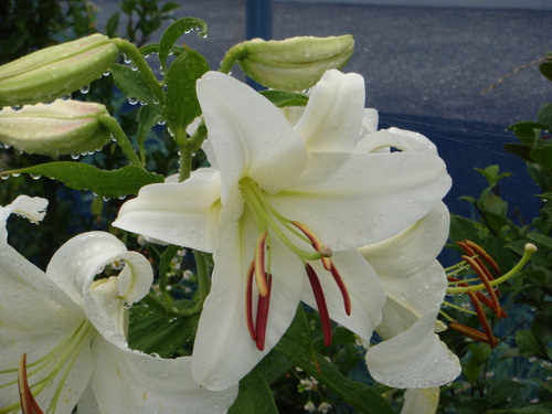 f0231573_20292211.jpg
