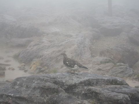 c0002874_18395870.jpg