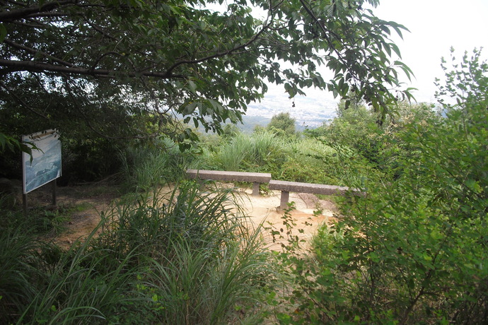 c0019376_21421524.jpg