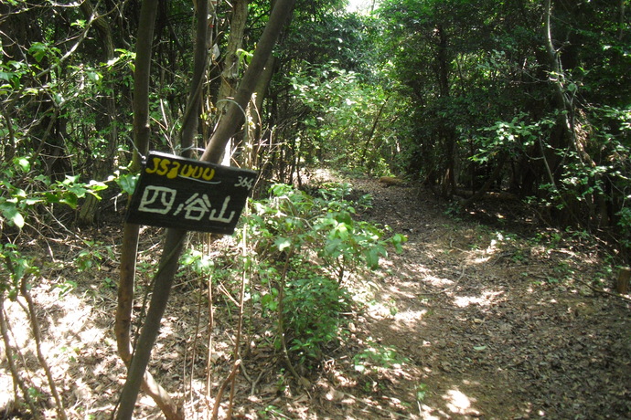 c0019376_21432863.jpg
