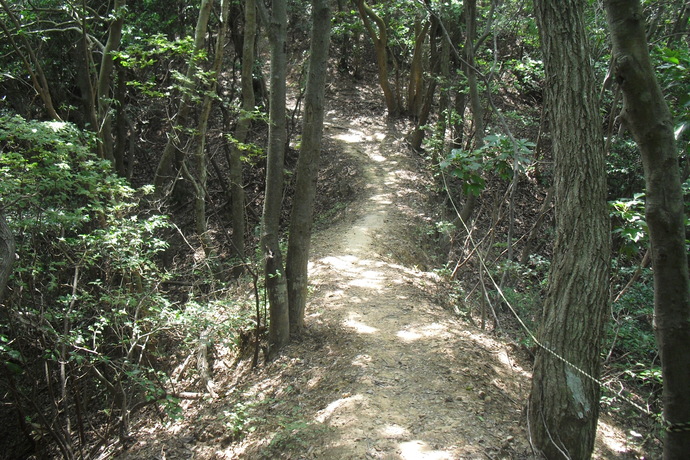 c0019376_21443159.jpg