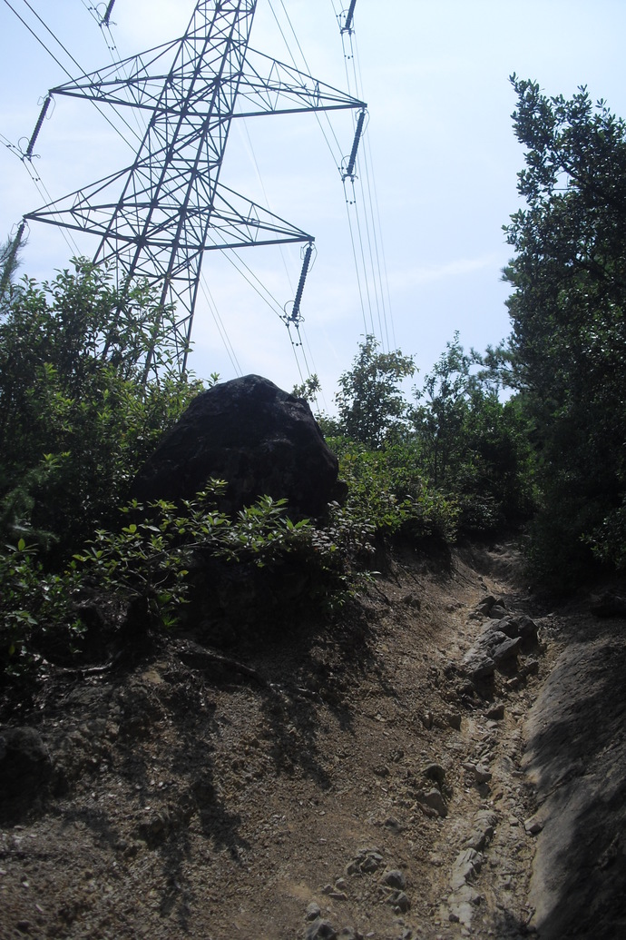 c0019376_2145652.jpg