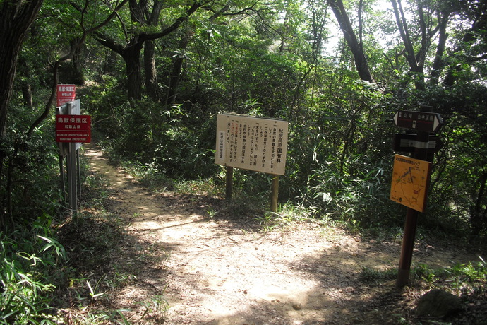 c0019376_22155895.jpg