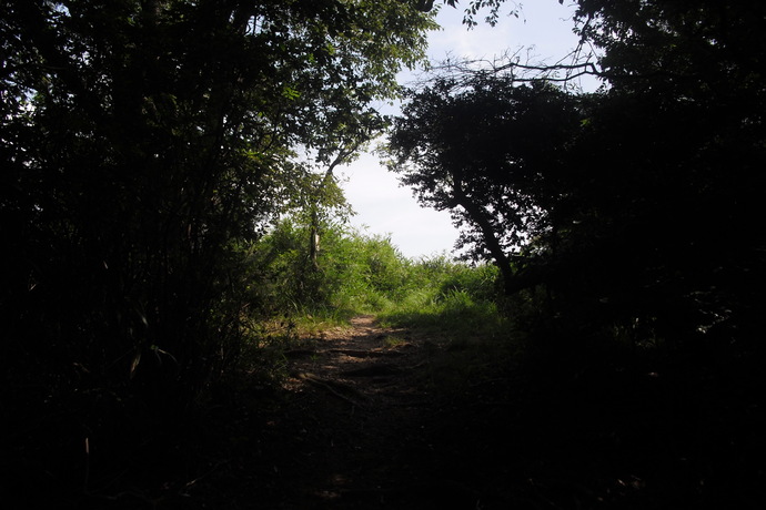 c0019376_22164984.jpg