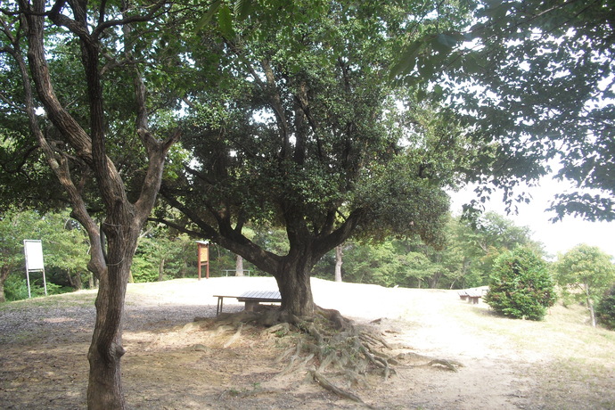 c0019376_22201566.jpg