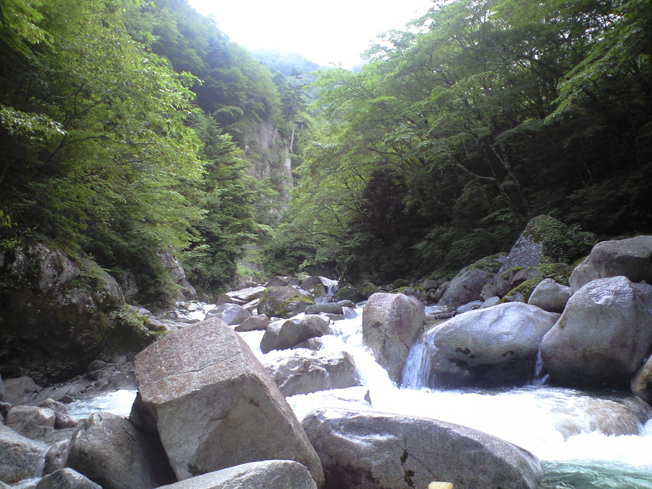 a0093677_1594327.jpg