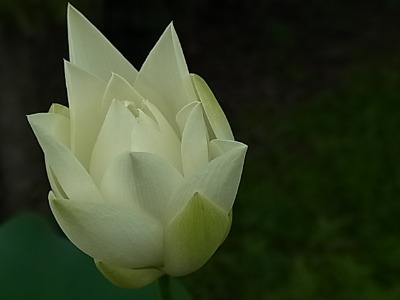 c0209377_2221320.jpg