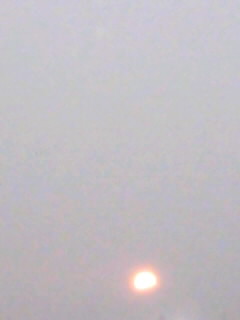 f0100480_20451216.jpg
