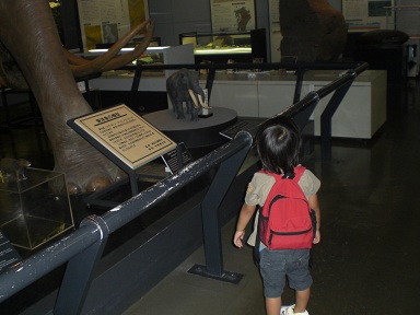 e0105581_714776.jpg