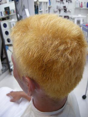c0136486_1057918.jpg