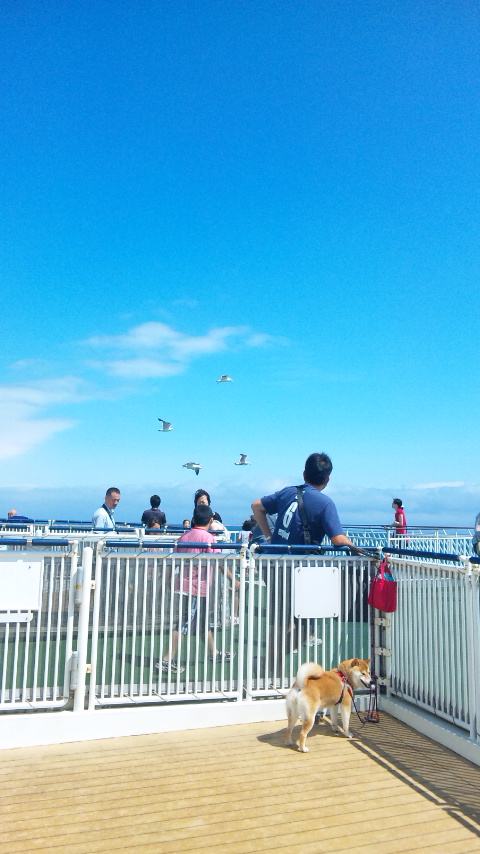 a0126590_1031169.jpg